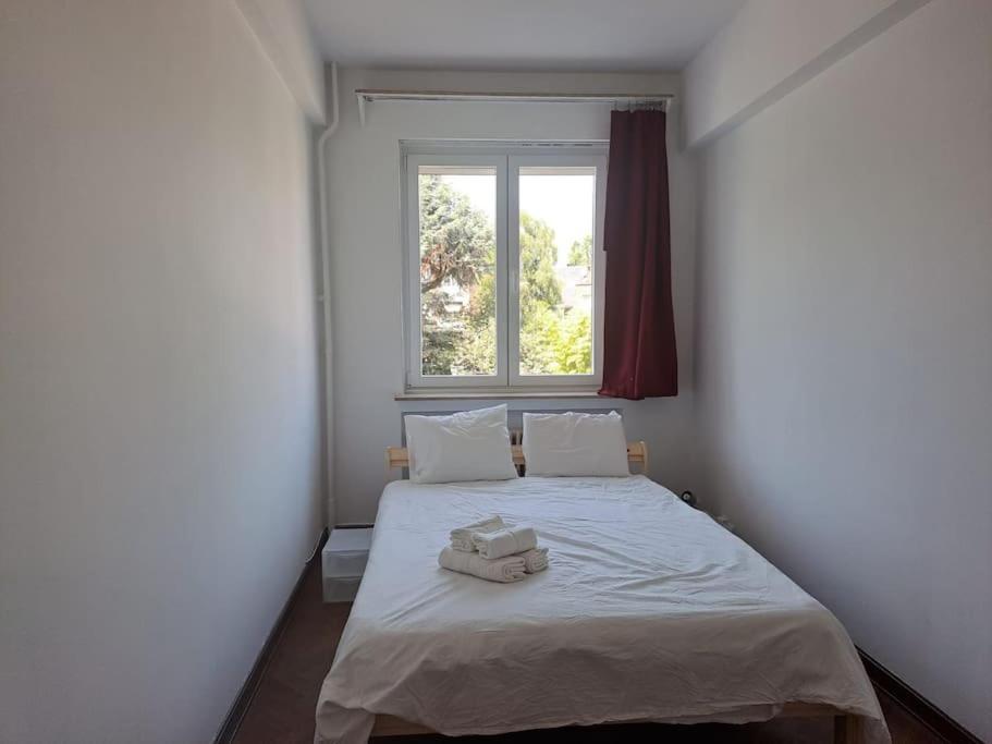 Spacious Apartment Next To Parc Du Cinquantenaire 布鲁塞尔 外观 照片